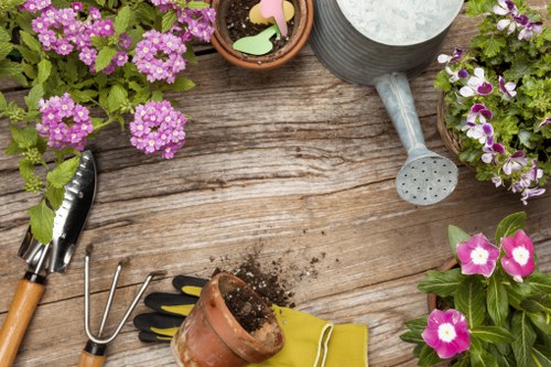 Professional landscaper designing an outdoor garden space in Hendon
