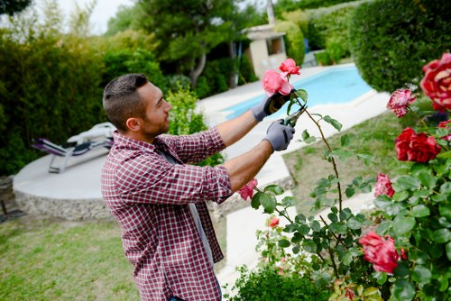 Professionals conducting garden clearance in Hendon