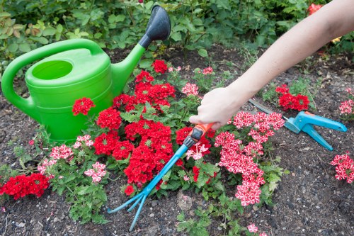 Professional lawn mowing team at work in Hendon
