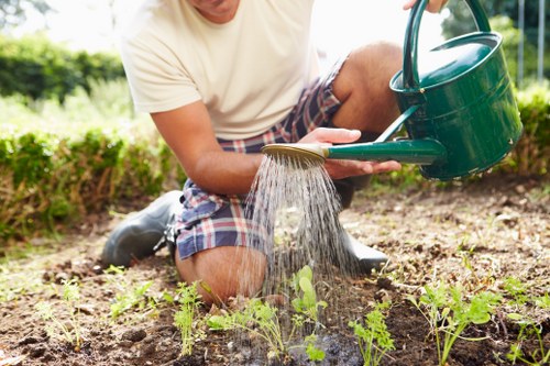 Eco-friendly lawn mowing practices in Hendon