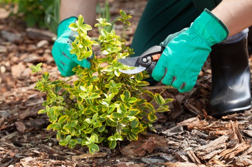 Professional lawn mowing service in Hendon