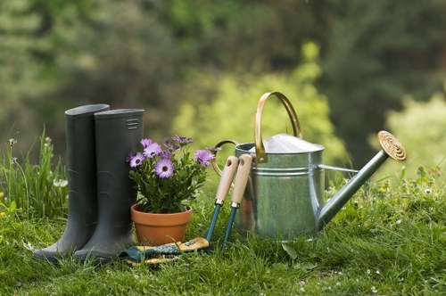 Eco-friendly tree removal practices by professionals