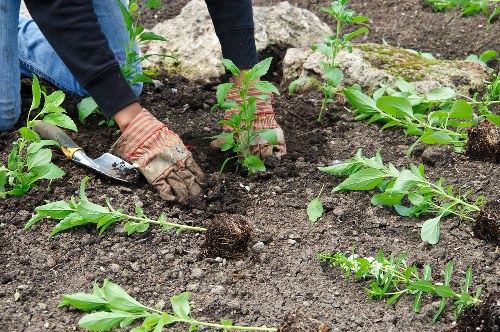 Fully equipped gardening team wearing PPE ready to work