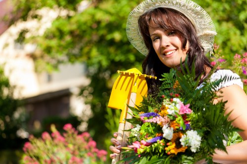 Seasonal lawn care services in Hendon