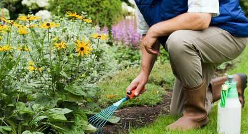 Professional garden maintenance services in Hendon