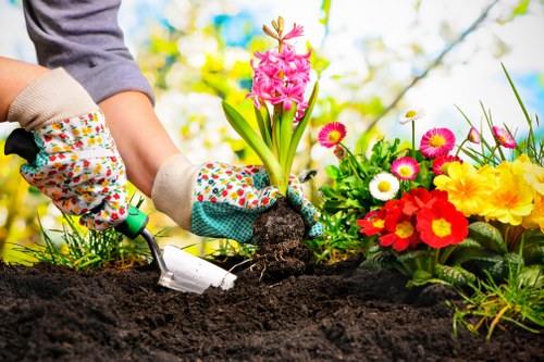 Eco-friendly hedge trimming practices in Hendon