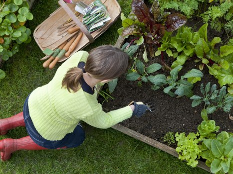 Insured gardener checking equipment and safety paperwork before work