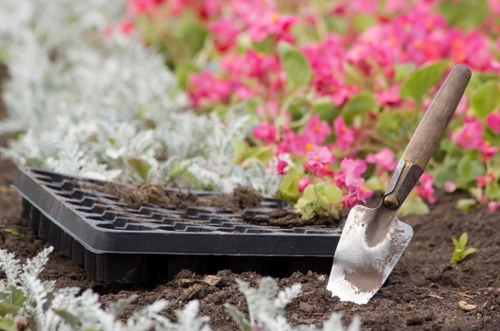 Expert trimming of garden hedges in Hendon