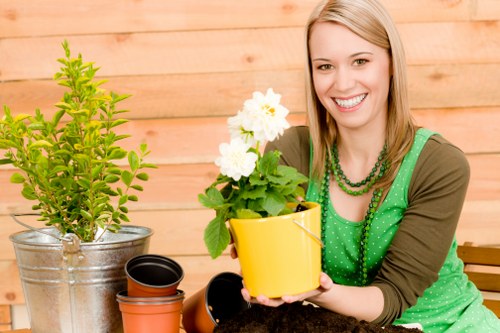 Seasonal lawn care techniques for Hendon lawns