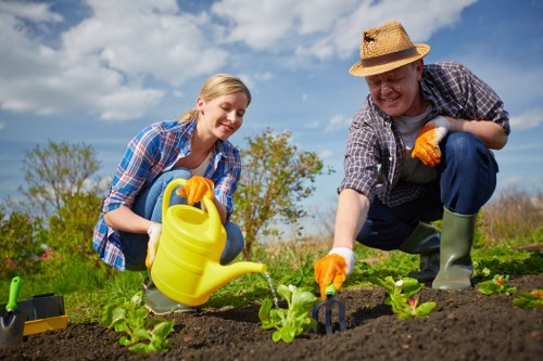 Mowing a green and healthy grass lawn