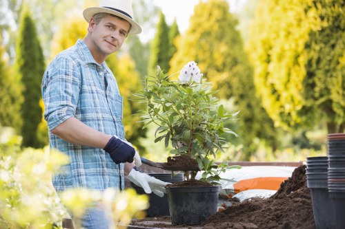Seasonal gardening activities in Hendon