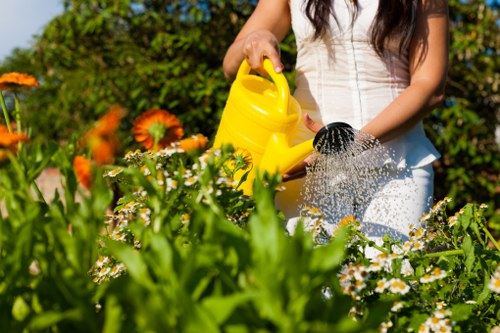 In a well-maintained garden in Hendon, a woman wearing a cream-colored top is watering a variety of flowering plants and greenery with a yellow watering can. The garden features a lush, dense lawn with vibrant green grass, bordered by flower beds containing white and orange blossoms, possibly daisies and marigolds. Behind her, tall green hedges and shrubs form a natural boundary, with a few small trees providing shade and structure to the outdoor space. The garden surface includes a mix of soil, grass, and paved pathways, with textured wooden decking visible in the background. Bright sunlight illuminates the scene, enhancing the fresh colours of the flowers and greenery, suggesting a clear, warm day. This outdoor environment reflects professional garden care and landscaping, emphasizing healthy plant growth and tidy landscaping. Lawn Mowing Hendon’s gardening services are well suited to maintain such attractive, well-kept gardens in the local area, ensuring lush, vibrant outdoor spaces.